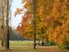 Englischer Garten
