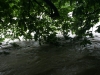 Isar en crue HQ20 Ã  750 m3/s