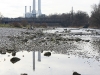 Isar