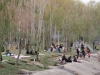 Iran - Ispahan - Vendredi dÃ©tente le long du Zayandeh rud - Les Ispahani n'ont rien Ã  envier aux Munichois pour ce qui est des barbecues au bord de l'eau