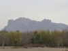 Iran - Ispahan - Vendredi dÃ©tente le long du Zayandeh rud