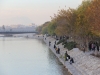 Iran - Ispahan - Le long du Zayandeh rud