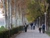 Iran - Ispahan - Le long du Zayandeh rud