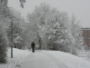 Averse de neige à Stiftsbogen