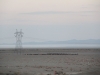 Iran - En route pour TÃ©hÃ©ran - Lac salÃ© et troupeau