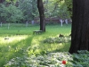 Russie - Moscou - Jardin de la maison de Tolstoï