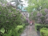 Russie - Moscou - Couvent de Novodievitchi - Gros orage