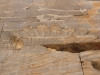 Iran - Persepolis - Taureaux de la Porte des Nations