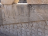 Iran - Persepolis - CyprÃ¨s et fleurs de lotus