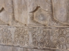 Iran - Persepolis - Fleur de lotus