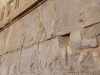Iran - Persepolis - Lionne et petits