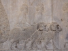 Iran - Persepolis - BÃ©liers