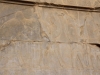 Iran - Persepolis - Chameau