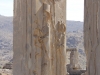Iran - Persepolis - Darius