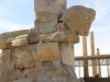 Iran - Persepolis - Taureau