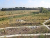 Quotidien - EDF Lab Paris-Saclay - Opale, jardin
