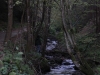 Roumanie - Carpates