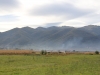 Roumanie - campagne autour de Sibiu