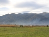 Roumanie - campagne autour de Sibiu