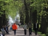 Russie - Saint-Pétersbourg - Peterhof