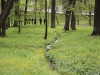 Russie - Saint-Pétersbourg - Peterhof