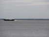 Russie - Saint-Pétersbourg - Peterhof, bateau "Meteor"