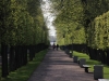 Russie - Saint-Pétersbourg - Peterhof