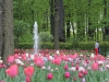 Russie - Saint-Pétersbourg - Jardin d'été