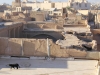 Iran - Yazd - Sur le toit de l'hÃ´tel Laleh